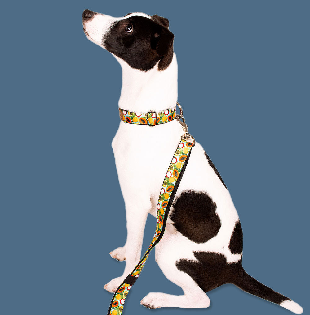 Accesorios para Mascotas Chaló Chaló