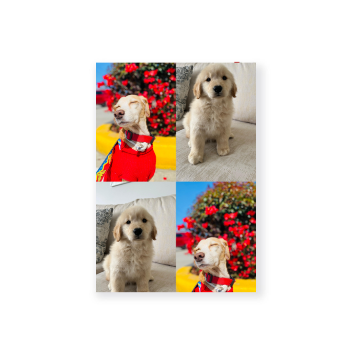 Cuaderno Personalizado