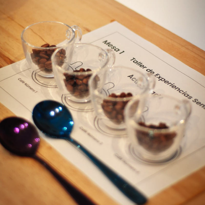 Taller Sensorial: Café Colombiano 5 Personas