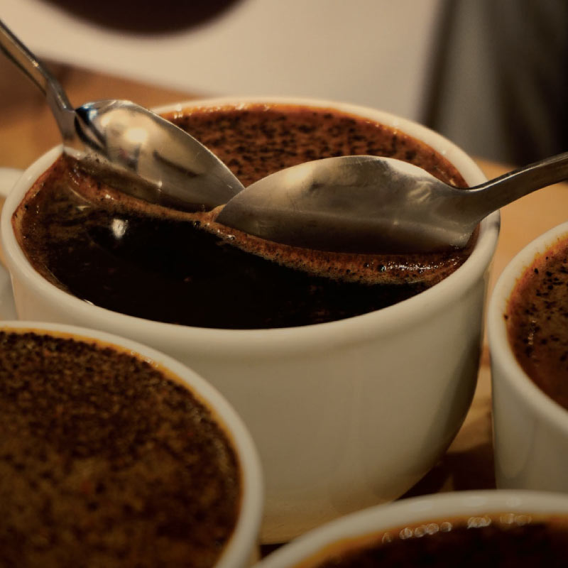 Taller Sensorial: Café Colombiano 5 Personas