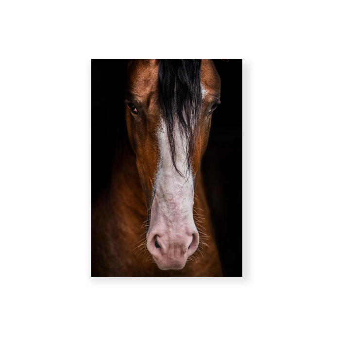 Cuaderno Personalizado