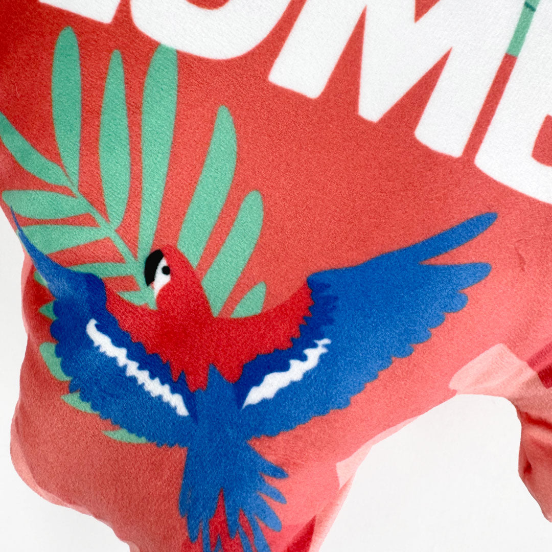 Cojín Mapa de Colombia