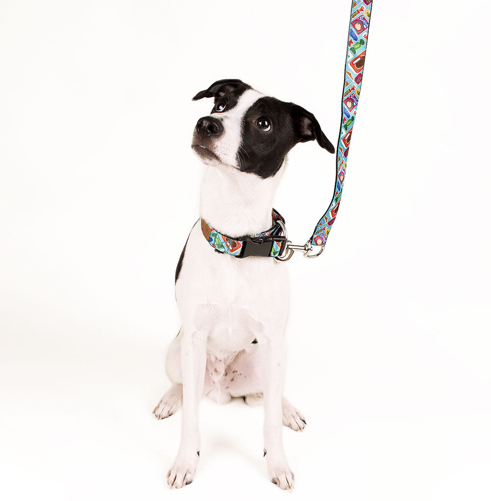 Perro con Collar y Correa de Dulesitos Azul - Chaló Chaló
